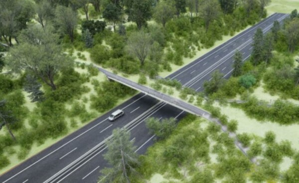 Corredor Metropolitano del Este contará con un paso de fauna elevado