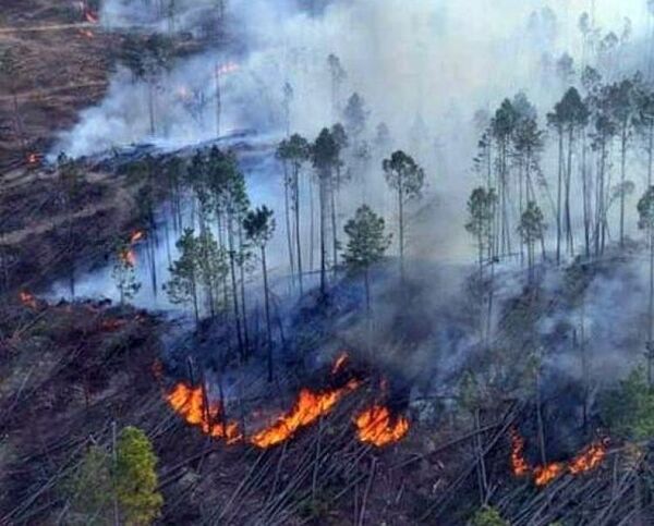 Intenso trabajo de bomberos para sofocar incendio en el Parque Nacional Cerro Corá