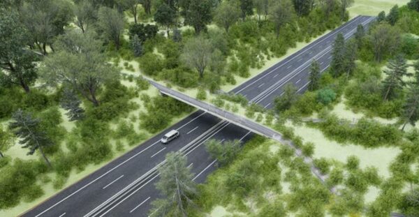 Paraguay contará con el primer paso de fauna elevado en el Corredor Metropolitano del Este