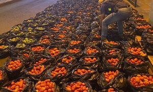 Personal de COIA incauta más de 3 toneladas de productos de contrabando en Los Cedrales – Diario TNPRESS
