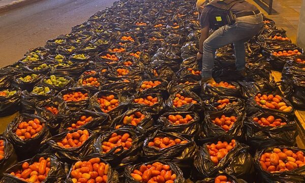 Personal de COIA incauta más de 3 toneladas de productos de contrabando en Los Cedrales – Diario TNPRESS
