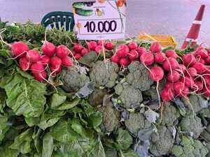 Pequeños productores de Central y Bajo Chaco ofertan productos del campo en la feria del Multiplaza - .::Agencia IP::.