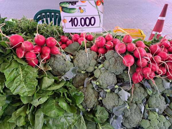 Pequeños productores de Central y Bajo Chaco ofertan productos del campo en la feria del Multiplaza - .::Agencia IP::.