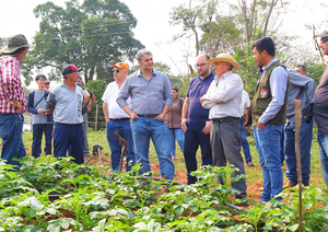 Intendente Marcos Benítez visitó a productores de papa - Noticiero Paraguay
