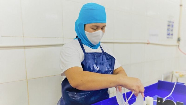 Industria de embutidos proyecta expansión de sus inversiones y ampliación de fuentes de trabajo - .::Agencia IP::.
