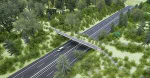 MOPC implementará primer paso de fauna elevado en Ciudad del Este - Unicanal