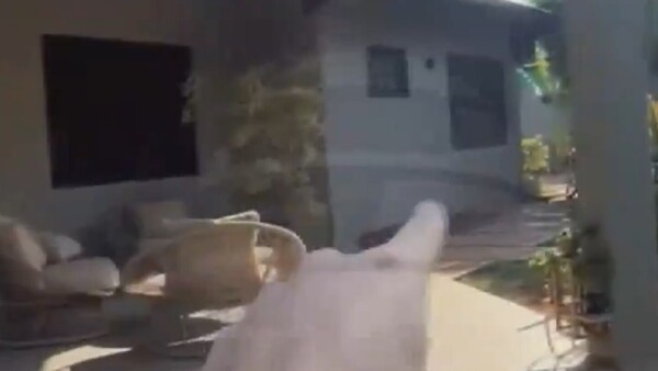 Video: Muestran cómo habría ingresado la Policía a la casa de Lalo Gomes