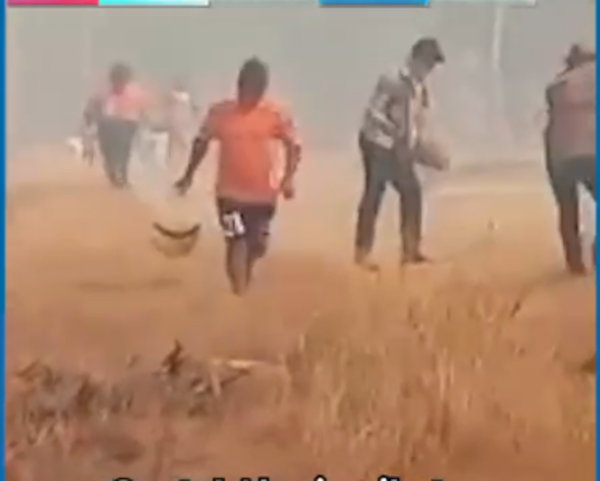 (VIDEO). ¡Desesperante sitú en el Chaco por el incendio que ya entra en la ciudad!