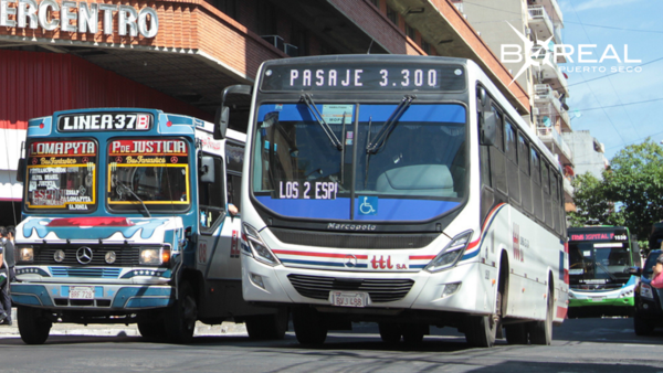Plantean la renovación del transporte público en la capital - Unicanal