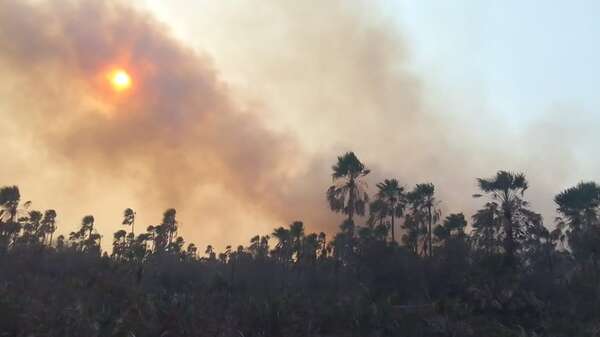 AUDIO. Incendios forestales: Alto Paraguay y Parque Nacional Cerro Corá víctimas del fuego - Momento Justo - ABC Color