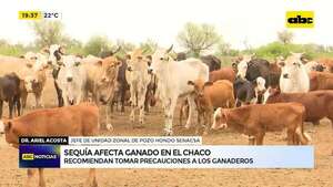 Sequía afecta ganado en el Chaco: recomiendan tomar precauciones a los ganaderos - ABC Noticias - ABC Color