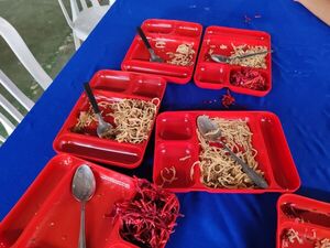 Hambre Cero: empresa proveedora recibe fuerte multa por incumplimiento - trece