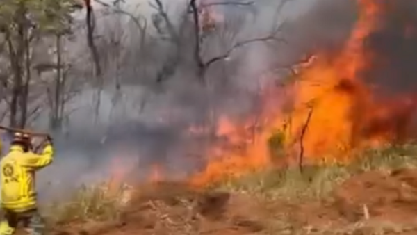 Bomberos evacuan a comunidades indígenas ante incendio forestal en Parque Cerro Corá