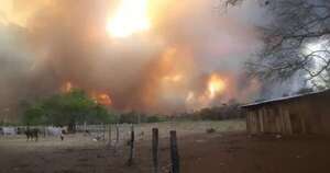 La Nación / Millonarias pérdidas dejan incendios forestales en el Chaco