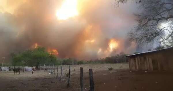 La Nación / Millonarias pérdidas dejan incendios forestales en el Chaco
