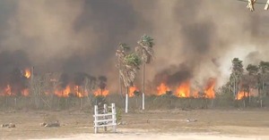 Advierten sobre temporada crítica de incendios forestales en Paraguay - ADN Digital