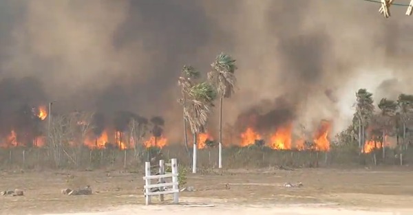 Advierten sobre temporada crítica de incendios forestales en Paraguay - ADN Digital
