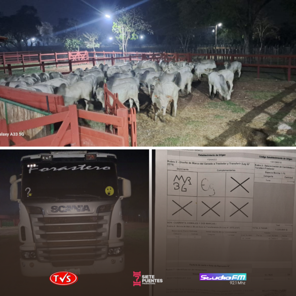 INCAUTAN 40 VACUNOS DURANTE CONTROL DE ABIGEATO EN ARROYITO - TVS