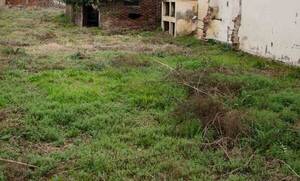 Encontraron un cadáver cerquita del cementerio: se cree que llevaba varios días