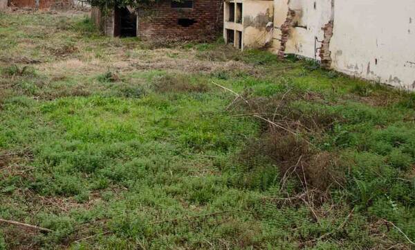 Encontraron un cadáver cerquita del cementerio: se cree que llevaba varios días