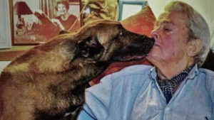 Alain Delon pidió sacrificar a su perro y enterrarlo con él como último deseo