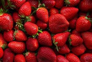 La frutilla está cada vez más barata en el Mercado de Abasto - Economía - ABC Color
