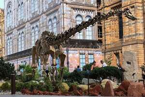 El Museo de Historia Natural de Londres convierte su entrada en una clase de Historia - Viajes - ABC Color