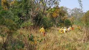 Parque Nacional: fuego sigue y corre riesgo de ingresar a zona de población - Nacionales - ABC Color