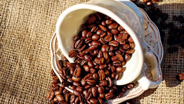 Café de lujo panameño se subastó arriba de los 7.000 dólares el kilo