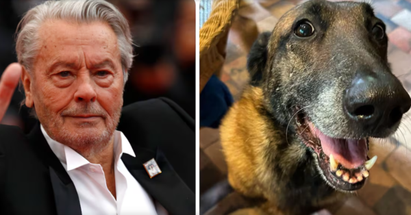 Familia del actor Alain Delon se niega a cumplirle su deseo de “ir con su perro”