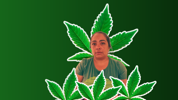 Lo que tenés que saber: Detienen a Selva Hũ, mujer vinculada al narcotráfico