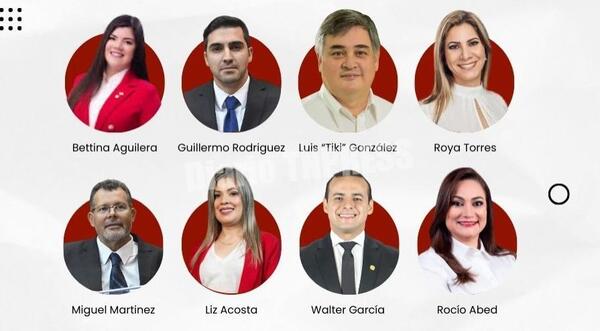 Universitarios expondrán a diputados de Alto Paraná sobre la utilidad de sus gestiones a favor de la gente – Diario TNPRESS
