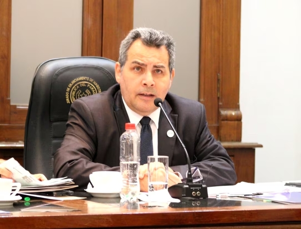 Kronawetter: Adjuntas no tuvieron autorización de Fiscal General para contestar inconstitucionalidad