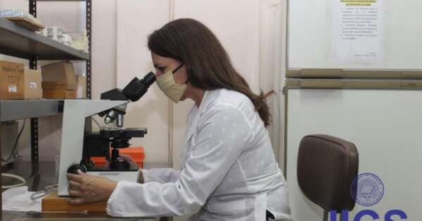 Diario HOY | Últimos días para postularse al Premio Nacional de Ciencia 2024