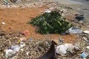 Video: vertedero clandestino en la “vereda”  - Crónicas Ciudadanas - ABC Color