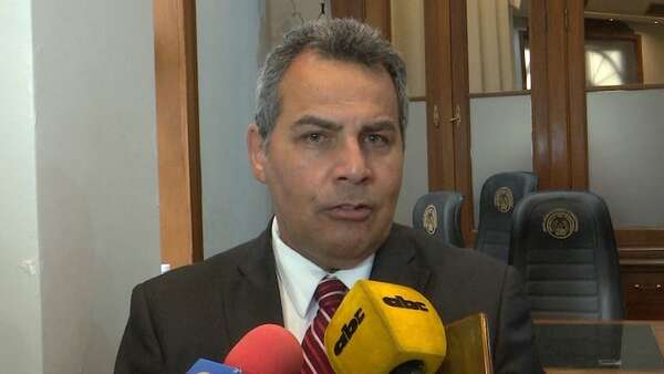 Kronawetter ratifica que Corte debe excluir “dictamen ilegítimo” que favorece a Pucheta - Nacionales - ABC Color