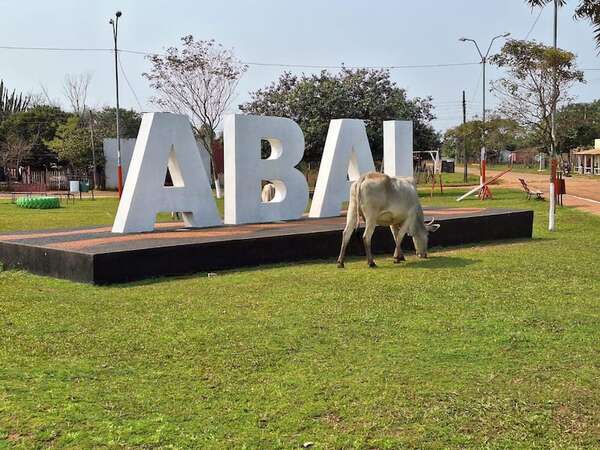 Abai: animales sueltos dan la bienvenida a los visitantes - Nacionales - ABC Color