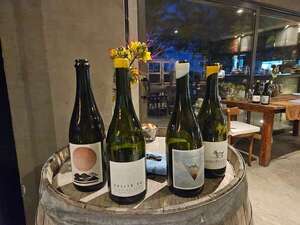 Consejos para elegir un buen vino sin errores - Gastronomía - ABC Color