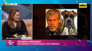 Los perros se parecen a sus dueños: ¿Qué hay de cierto en esto? - Ensiestados - ABC Color