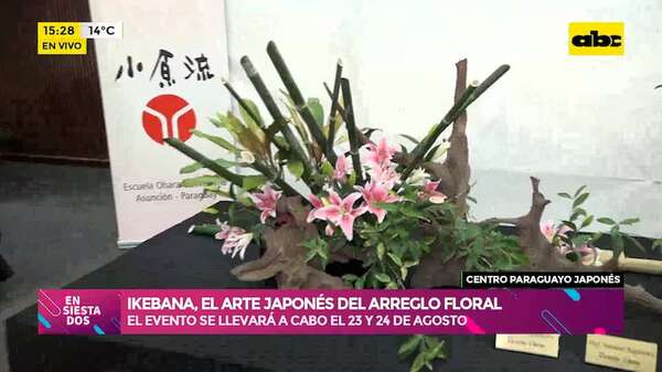 CPJ: Ikebana, el arte japonés del arreglo floral protagoniza nueva exposición - Ensiestados - ABC Color