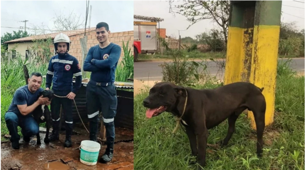¡Ma’ena! Encontró a su perrito que se le perdió hace un año
