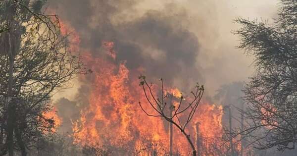 Diario HOY | Lluvias sofocaron focos de incendios en Fuerte Olimpo, pero sequía persiste
