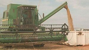 Sector agropecuario espera poder acceder al gran mercado de China