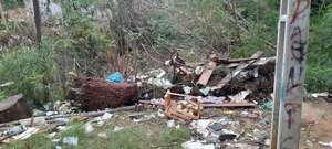 Vecinos de Tacumbú denuncian vertedero clandestino, que se formó tras caída de árbol hace ocho meses - Nacionales - ABC Color