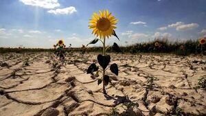 20 años de políticas climáticas: Un estudio analiza qué funciona y qué no