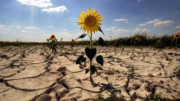 20 años de políticas climáticas: Un estudio analiza qué funciona y qué no