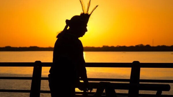 25 de agosto Día Nacional del Idioma Guaraní: “El guaraní tiene una gran vitalidad en la región”