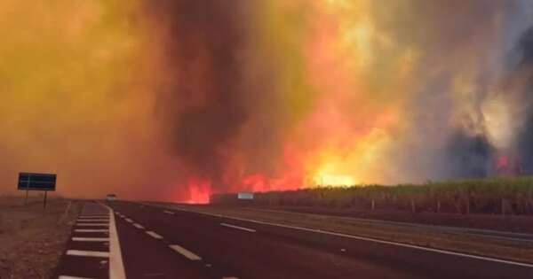 Diario HOY | Incendios en São Paulo: dos muertos y 34 ciudades en alerta máxima