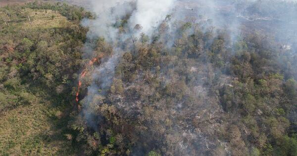 Diario HOY | Fuego en los parques nacionales: una amenaza a la existencia de los bosques y la fauna