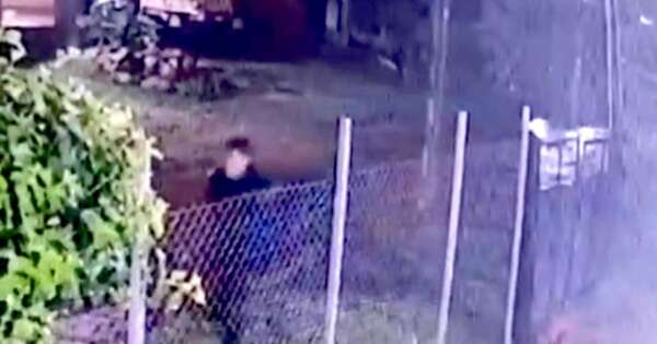 La Nación / Habría más víctimas del agresor del Parque Guasu